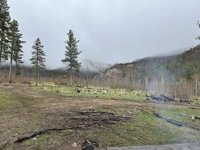 Camping at Hammond Ranch 9