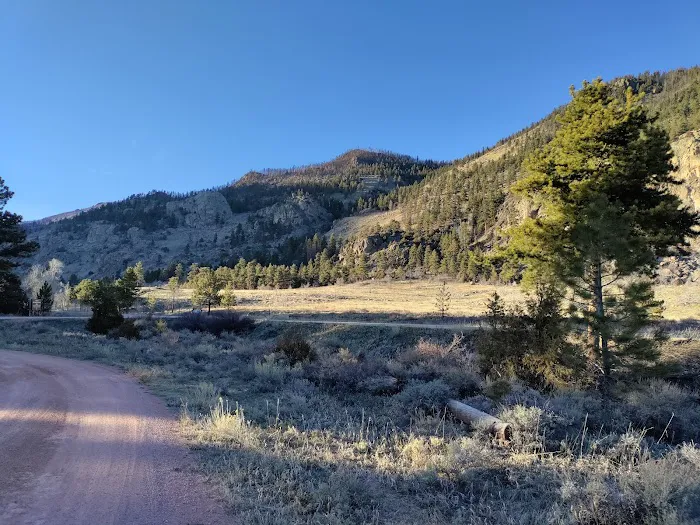 Big Bend Sheep Viewing Area (recgovnpsdata) 4