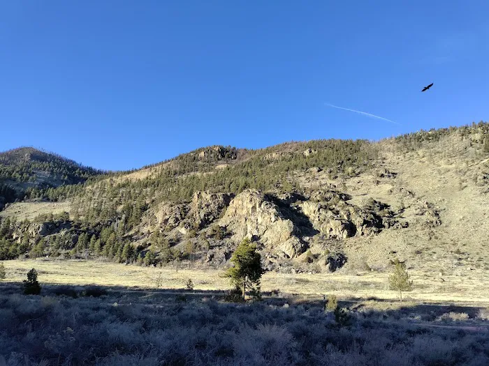 Big Bend Sheep Viewing Area (recgovnpsdata) 2