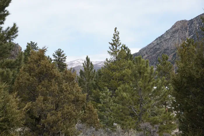 Sportsman's Lodge Colorado 6