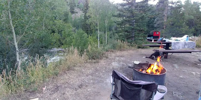 Aspen Glen Campground 5