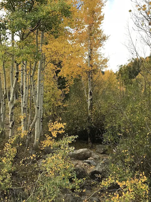 Aspen Glen Campground 9