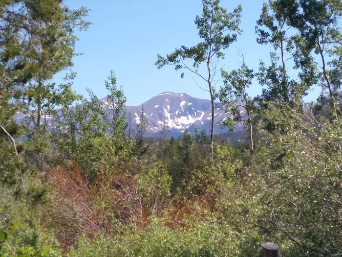Aspen Campground 1