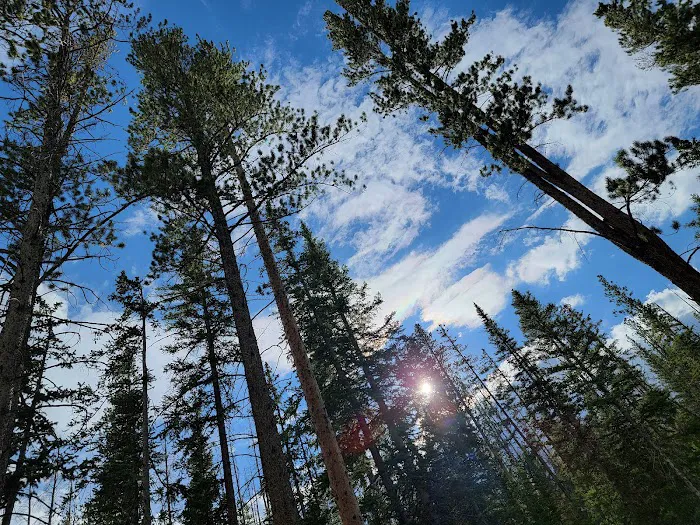 Chambers Lake Campground 5