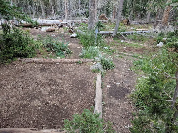 Ditch Camp 2