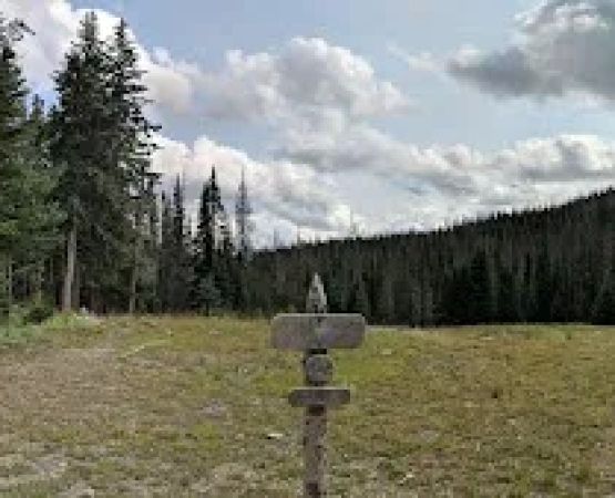 Ditch Camp