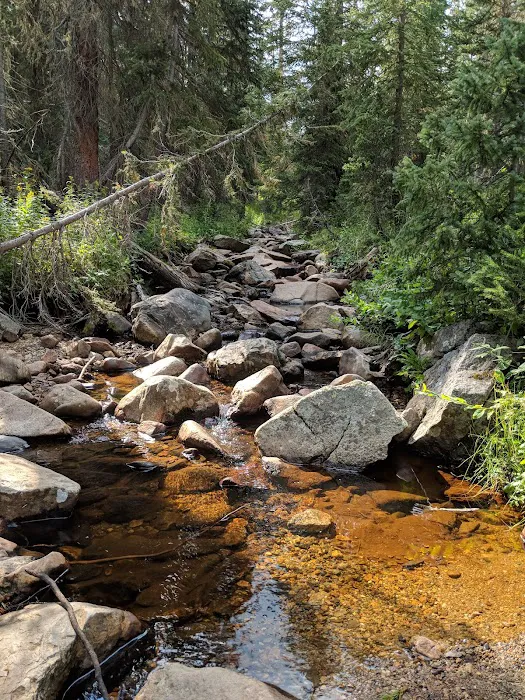 Ditch Camp 1