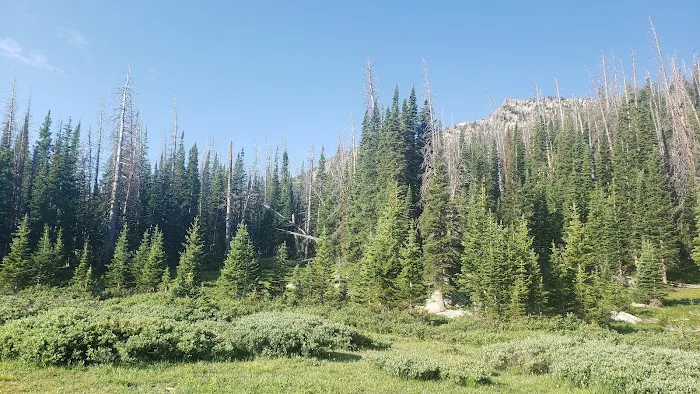 Camp Lake 4