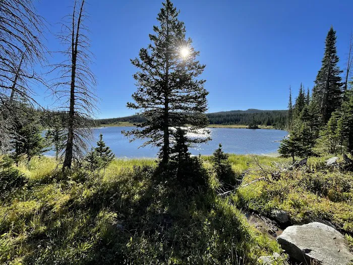Camp Lake 2