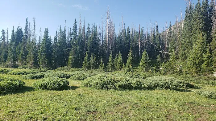Camp Lake 1