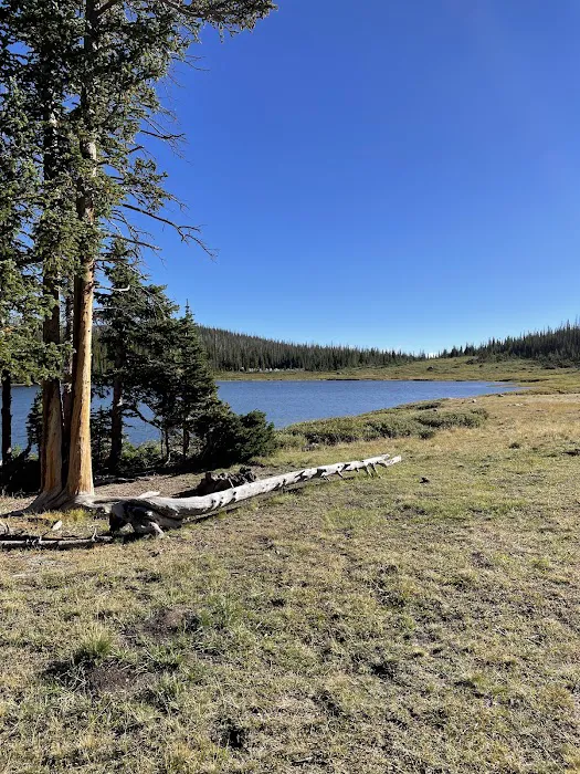 Camp Lake 7