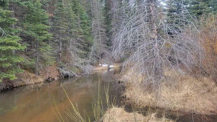 Sheep Creek Campsite 3