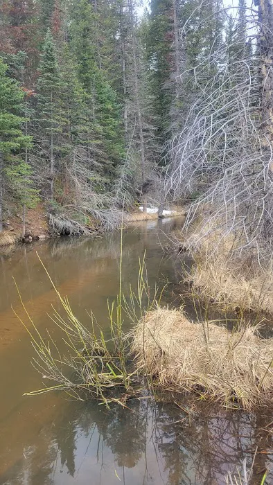 Sheep Creek Campsite 4