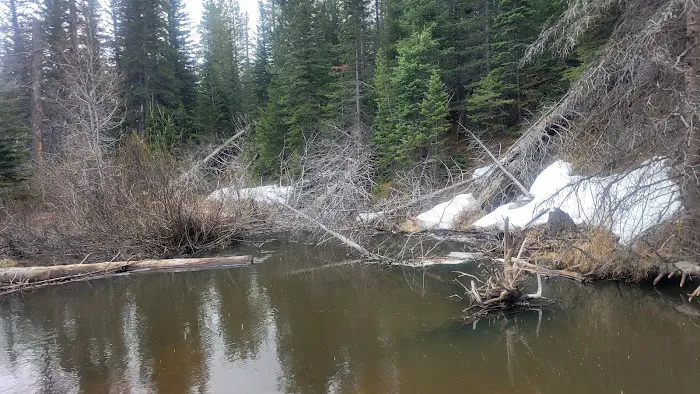 Sheep Creek Campsite 7