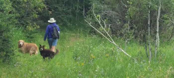 Sheep Creek Campsite 5