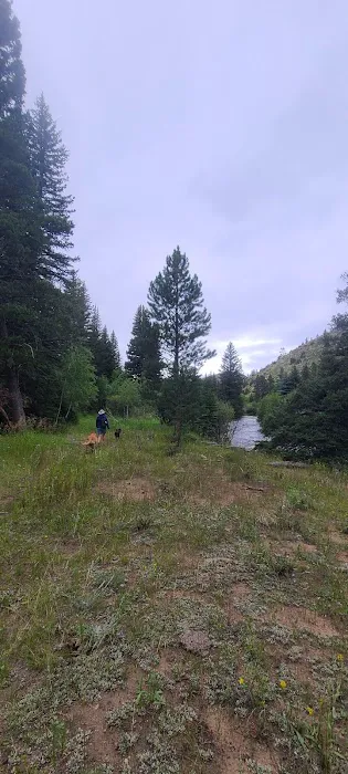 Sheep Creek Campsite 0