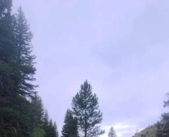 Sheep Creek Campsite