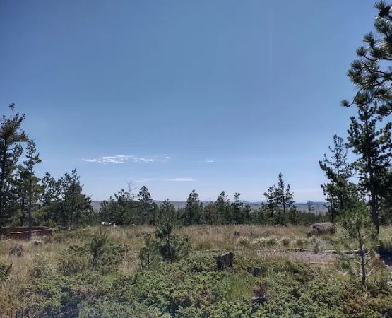 Batel Ranch
