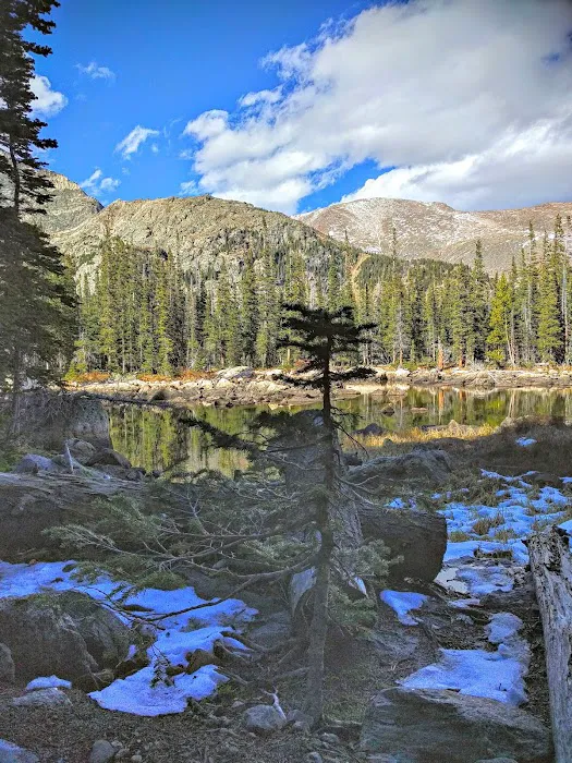 Upper Chipmunk 2