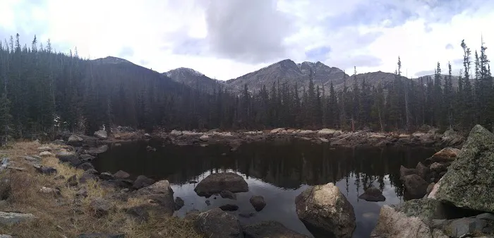 Upper Chipmunk 0