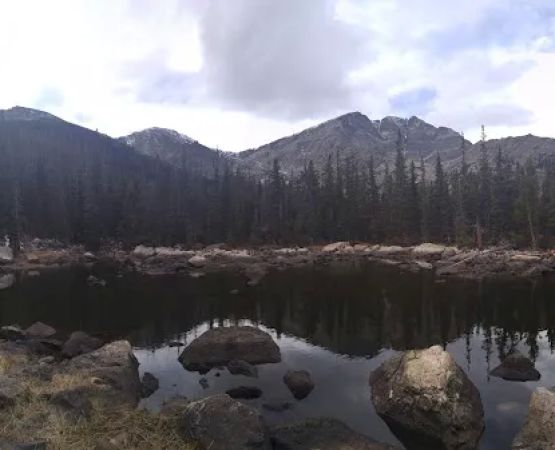 Upper Chipmunk