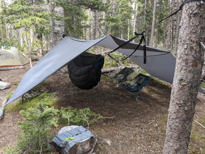 Upper Chipmunk 1