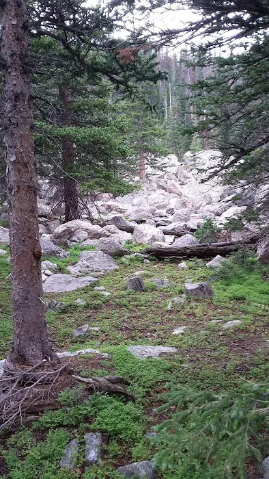 Upper Chipmunk 4
