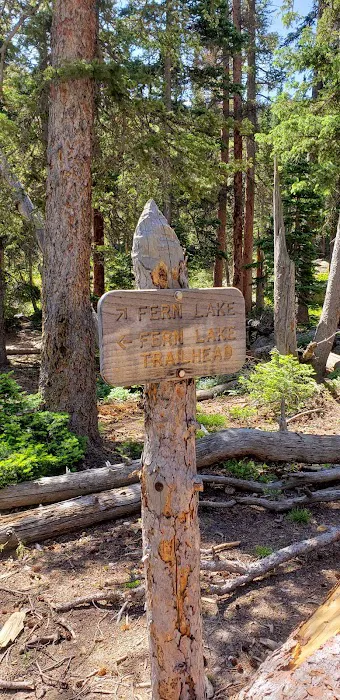 Fern Lake 1