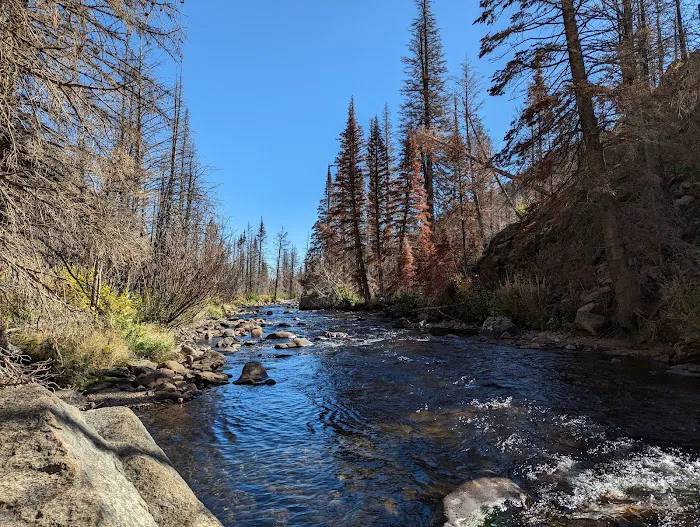Fern Lake 8