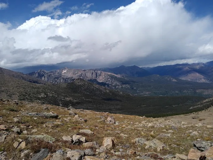 Boulderfield 9
