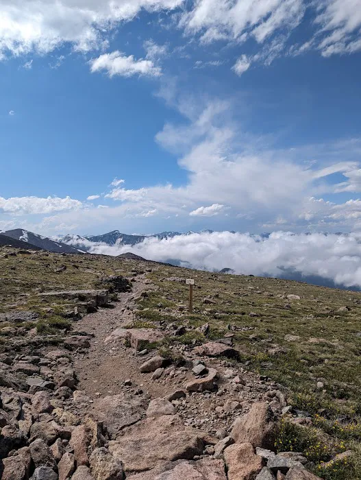 Boulderfield 6