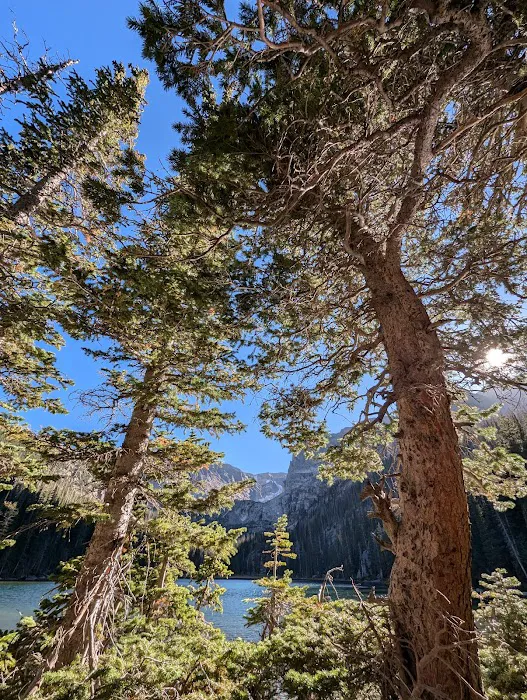 Odessa Lake 4