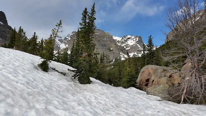 Andrews Creek 7