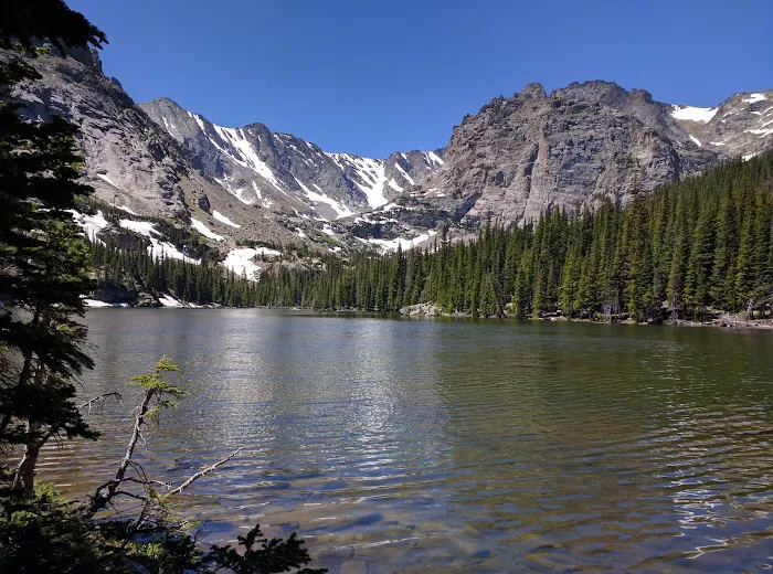 Andrews Creek 1