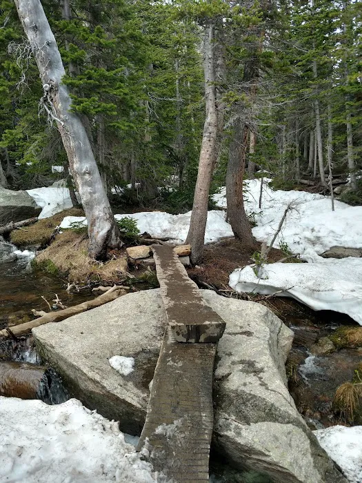 Andrews Creek 8