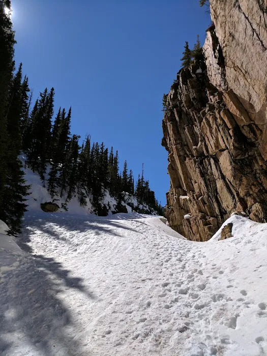 Andrews Creek 9