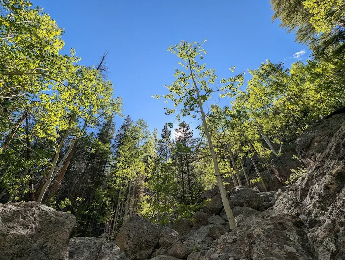 Pine Ridge backcountry site #1 1