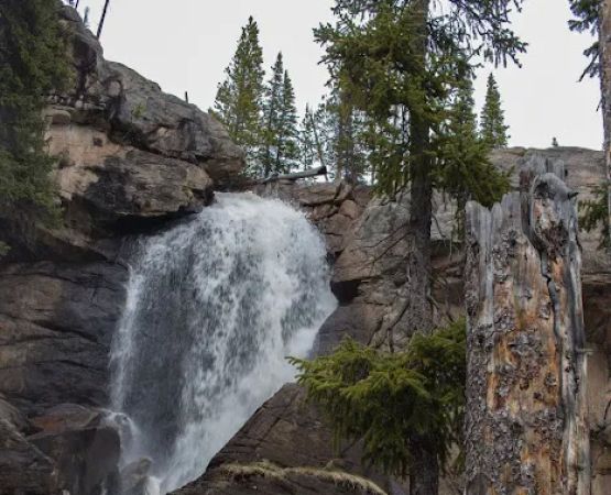 Pine Ridge backcountry site #1