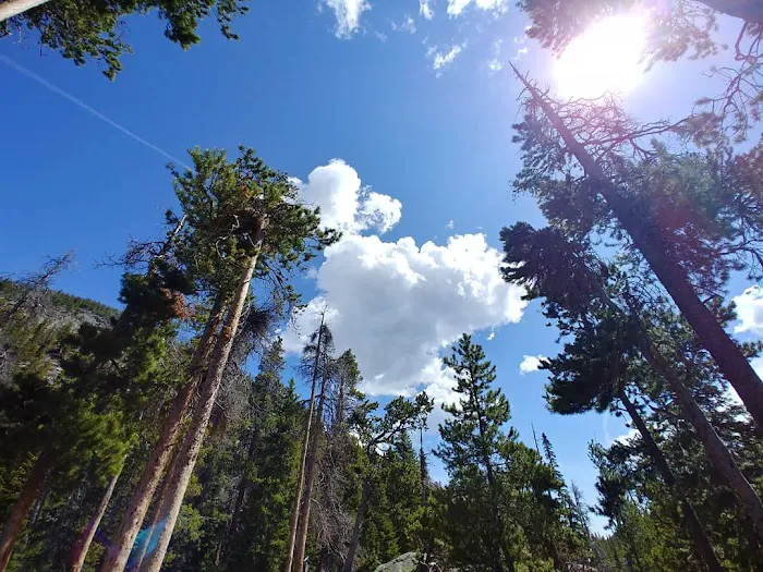Pine Ridge backcountry site #1 5