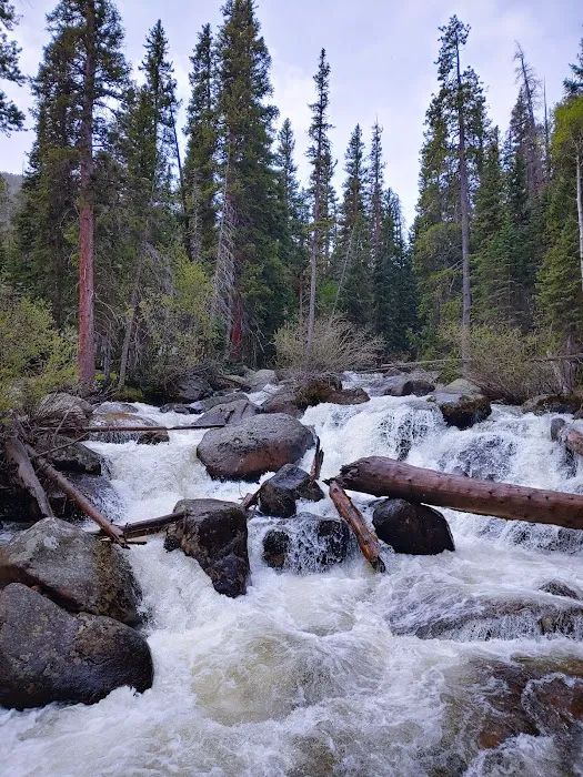 Pine Ridge backcountry site #1 8