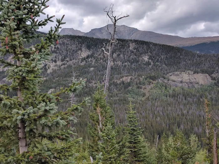 Aspen Knoll 1