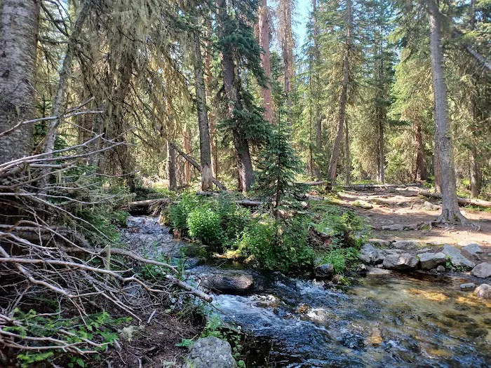 Finch Lake 0