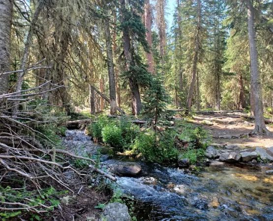 Finch Lake