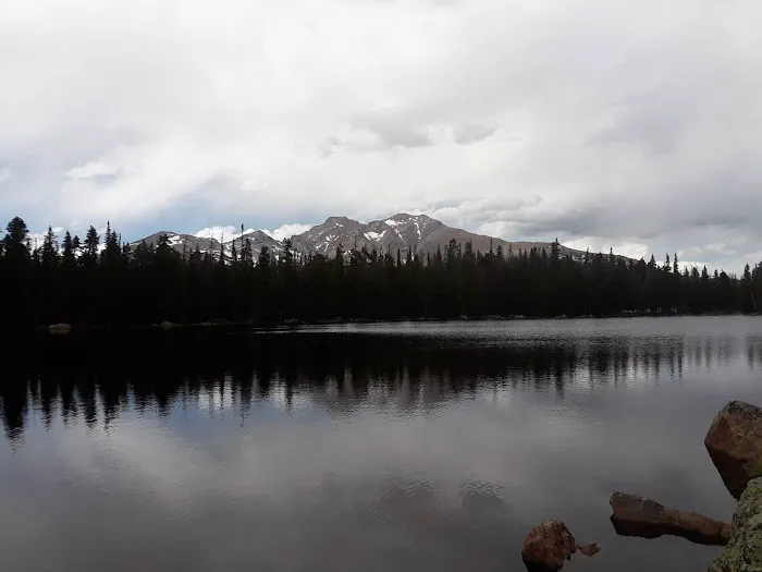 Finch Lake 5