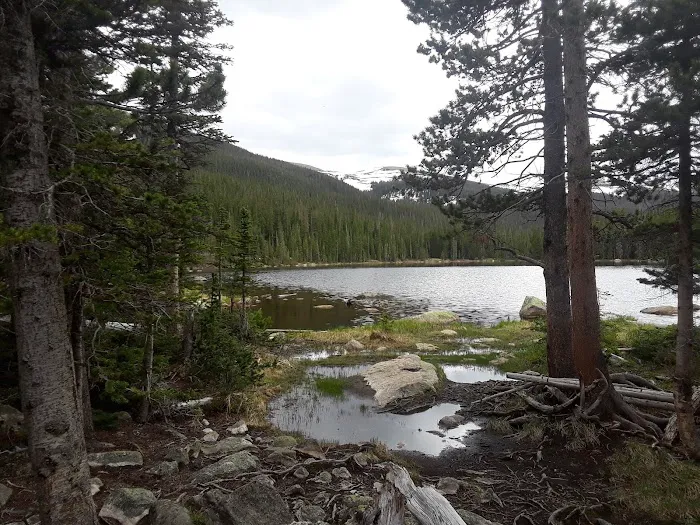 Finch Lake 8