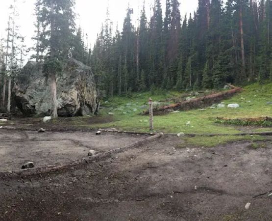 Timberline Group