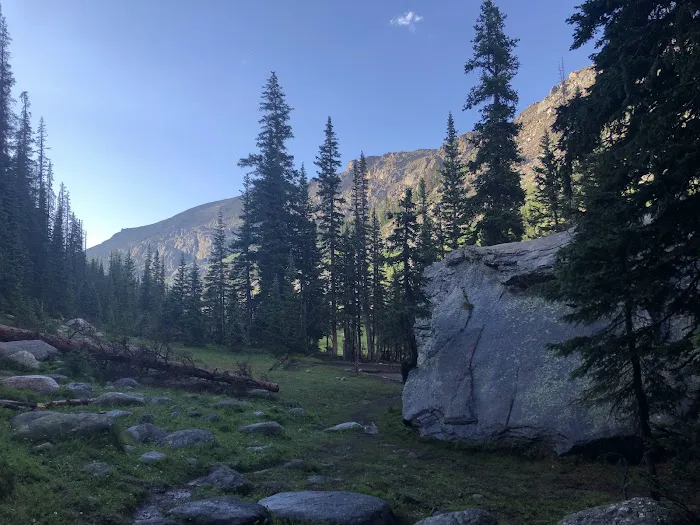Timberline Group 2