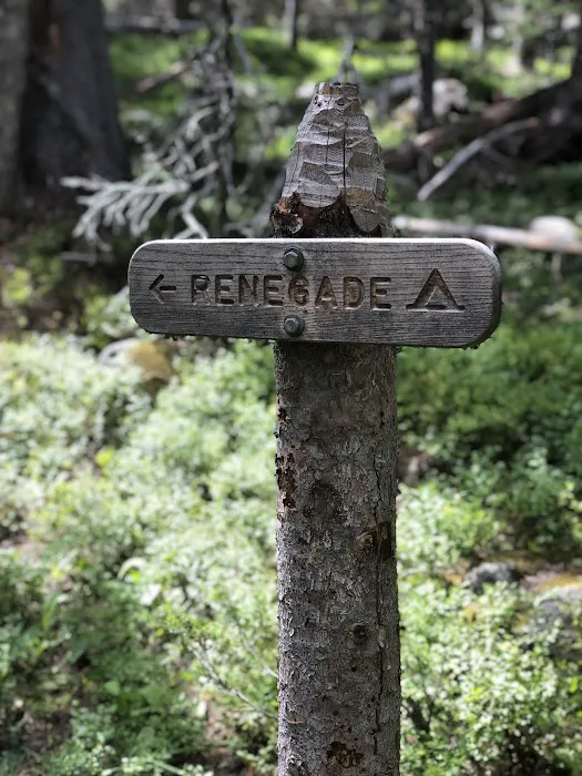 Renegade 1