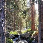 North Inlet Junction