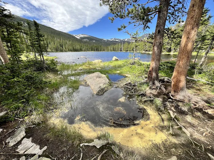Pear Lake 6